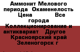 Аммонит Мелового периода. Окаменелость. › Цена ­ 2 800 - Все города Коллекционирование и антиквариат » Другое   . Красноярский край,Зеленогорск г.